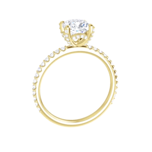 Accented Solitaire Engagement Ring